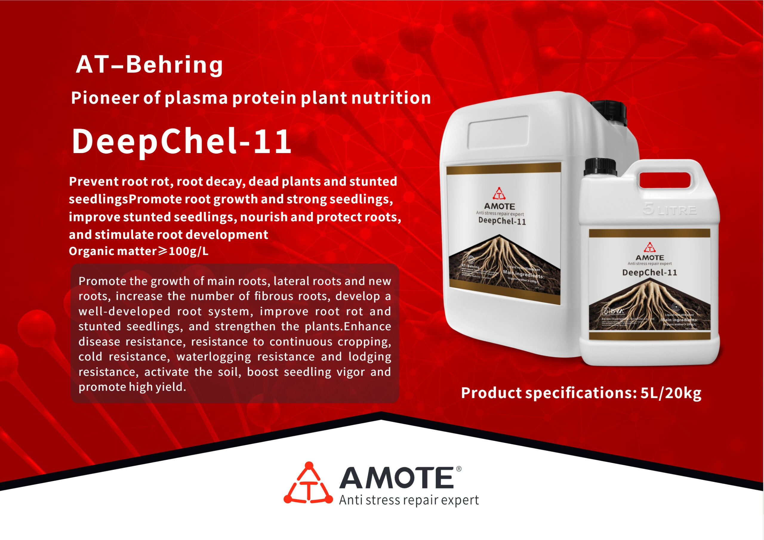 Deepchel-11