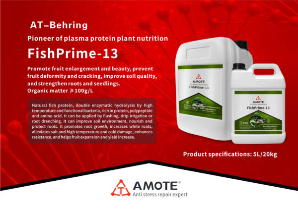 FishPrime-13
